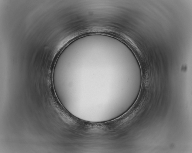 X0000089930786200707271756