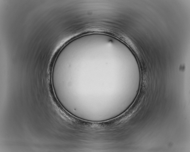 X0000089930787200707271756