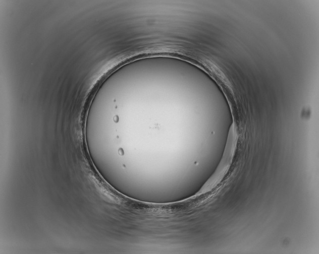 X0000089930789200707271756