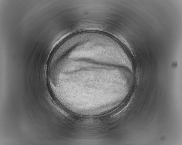 X0000089930790200707271756