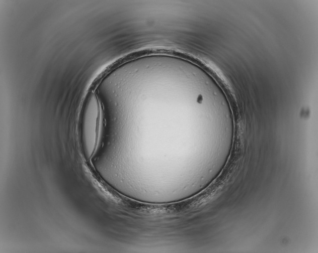 X0000089930791200707271756