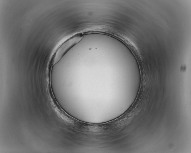 X0000089930792200707271756