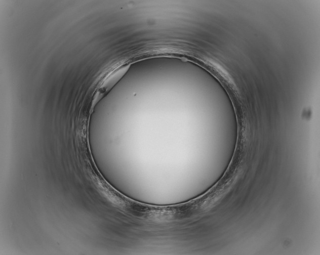 X0000089930793200707271756