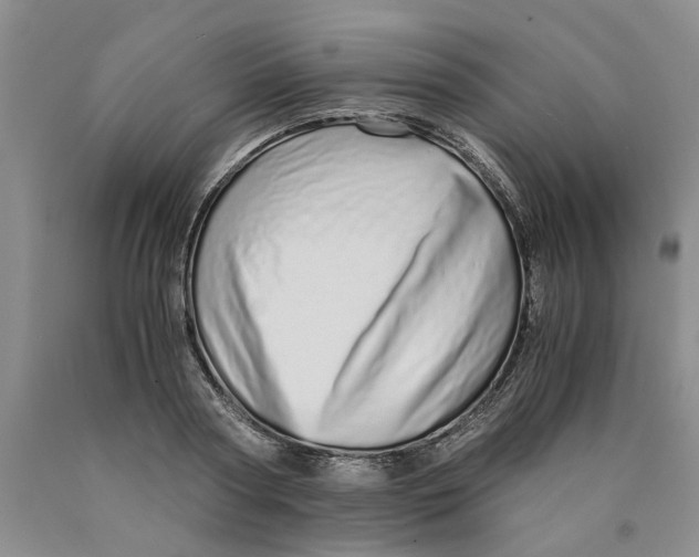 X0000089930794200707271756