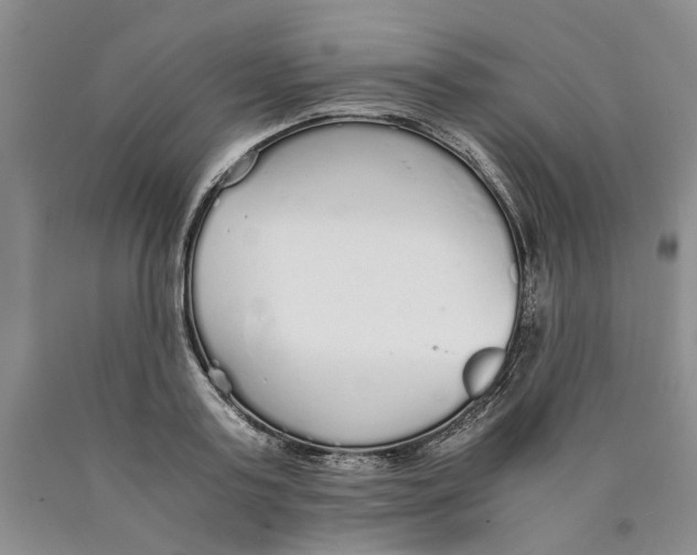 X0000089930795200707271756