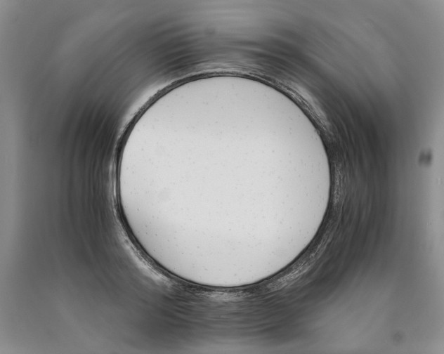 X0000089930796200707271756