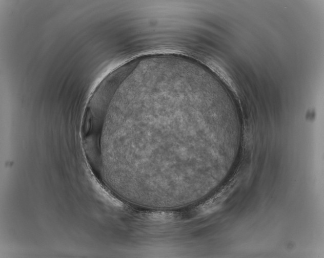 X0000089930797200707271756