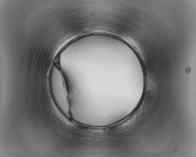 X0000089930798200707271756