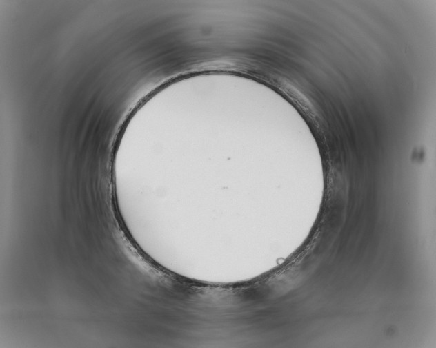 X0000089930800200707271756