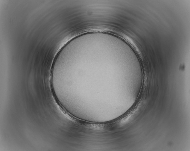 X0000089930802200707271756