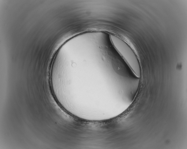 X0000089930803200707271756