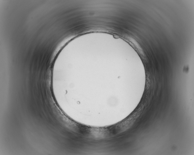 X0000089930804200707271756