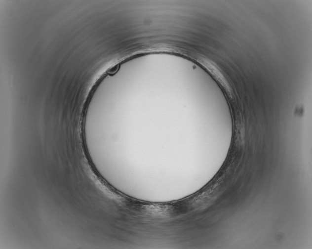 X0000089930805200707271756