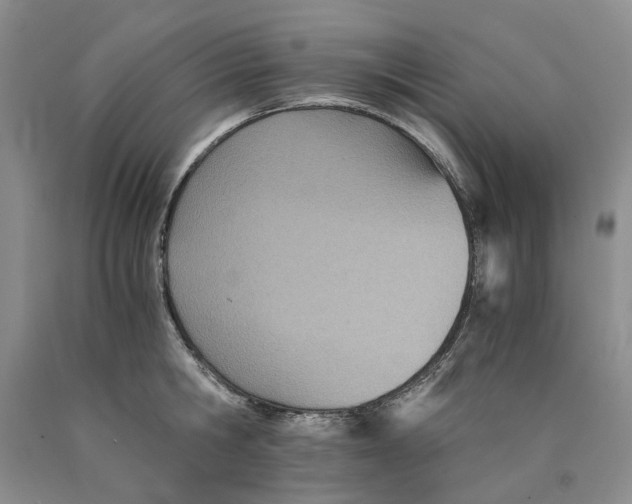 X0000089930806200707271756