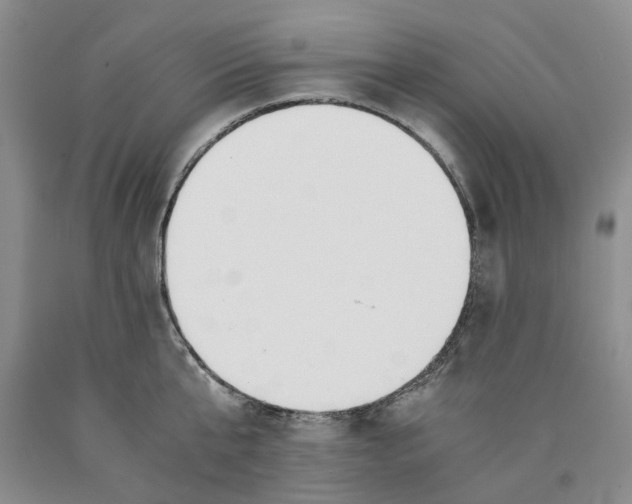 X0000089930807200707271756