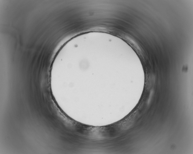 X0000089930808200707271756