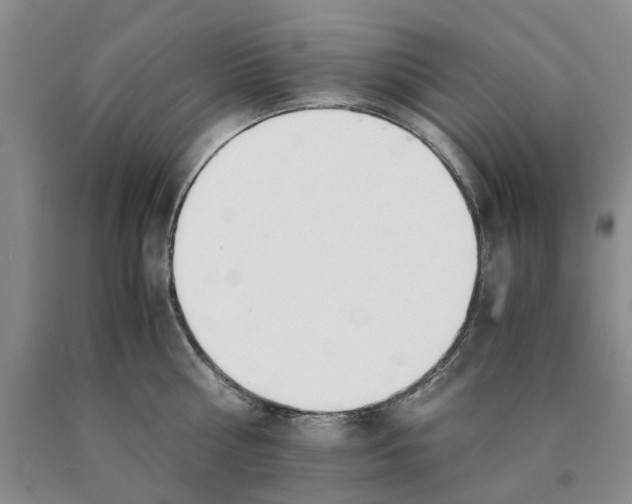 X0000089930810200707271756