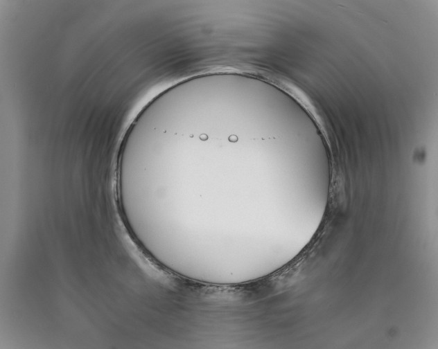 X0000089930811200707271756