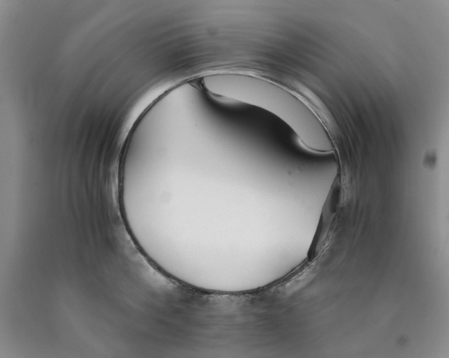 X0000089930812200707271756