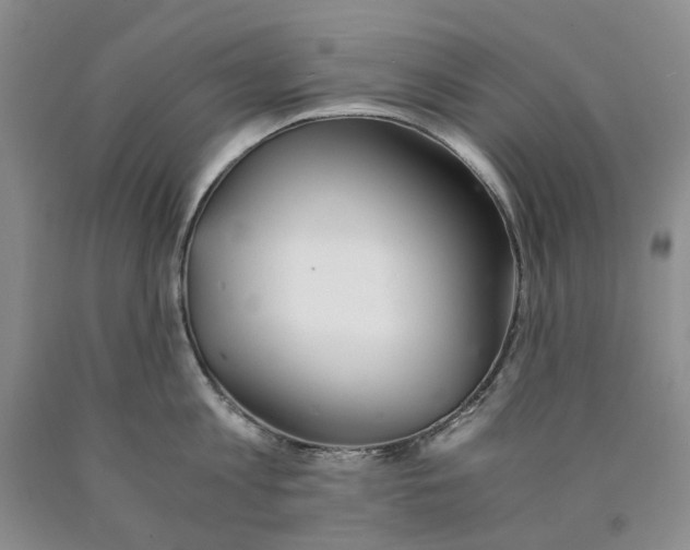 X0000089930813200707271756