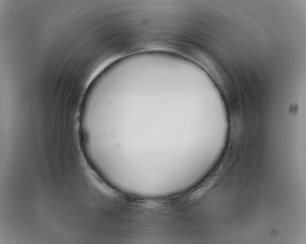 X0000089930814200707271756