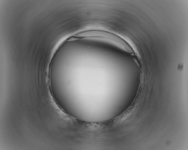 X0000089930815200707271756