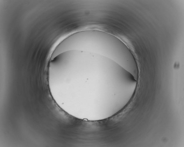 X0000089930816200707271756