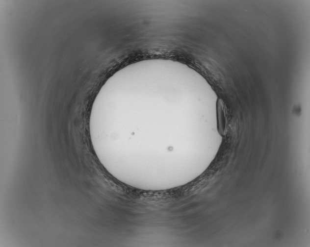 X0000089930817200707271756