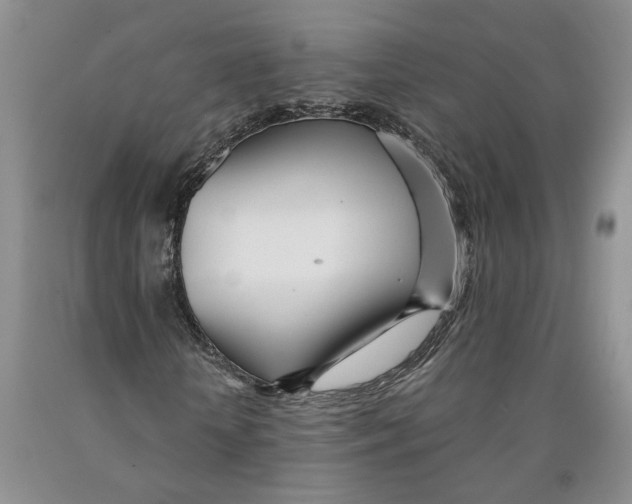 X0000089930818200707271756