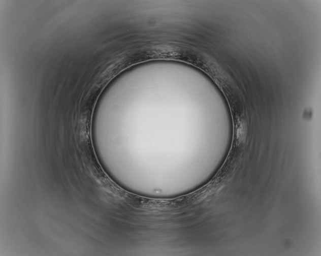 X0000089930819200707271756