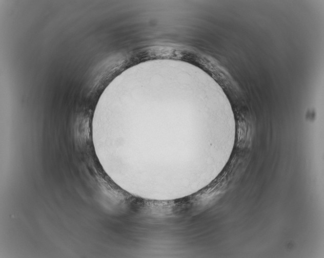 X0000089930820200707271756