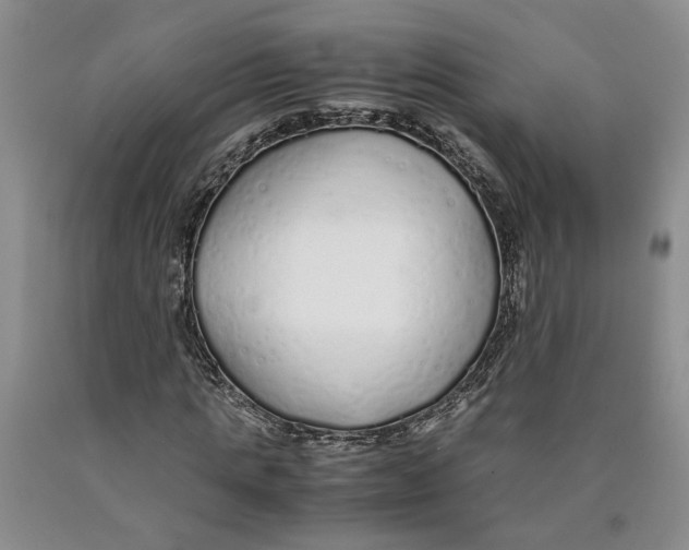 X0000089930821200707271756