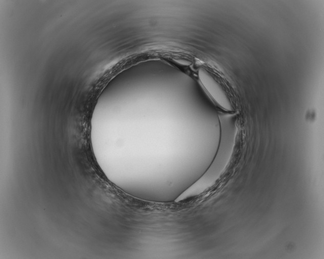 X0000089930822200707271756