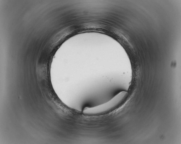 X0000089930825200707271756