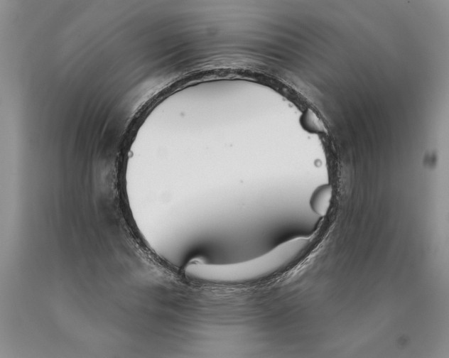 X0000089930826200707271756