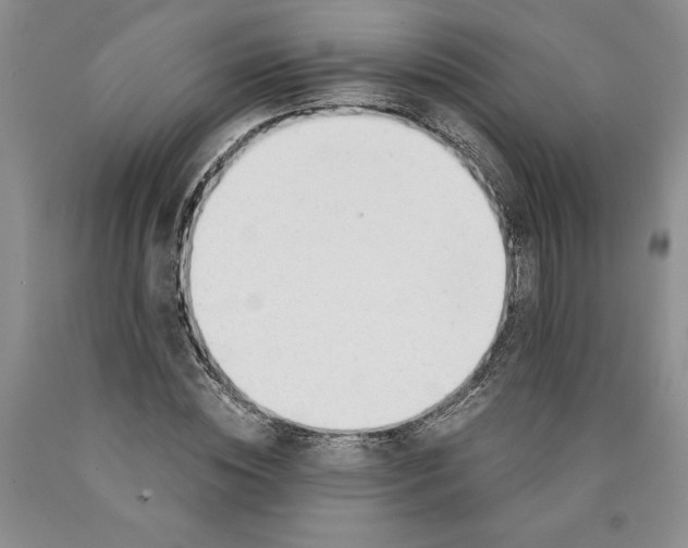 X0000089930828200707271756