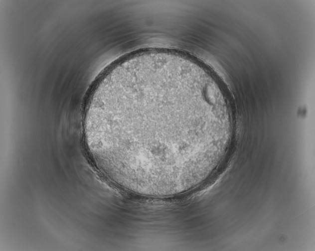 X0000089930829200707271756