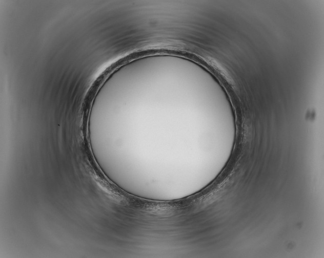 X0000089930830200707271756