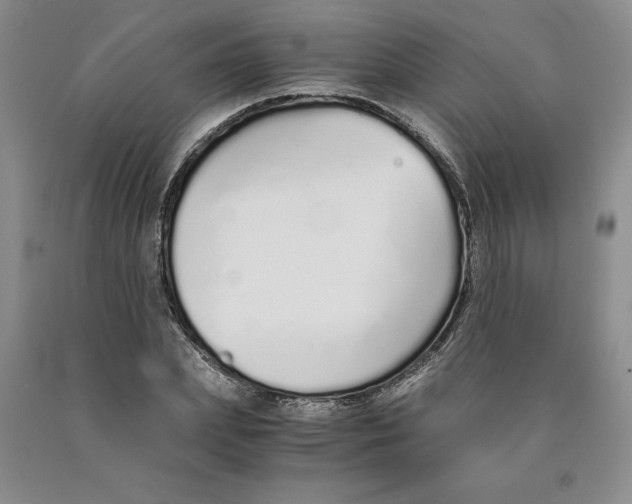 X0000089930831200707271756