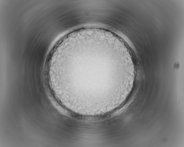 X0000089930832200707271756