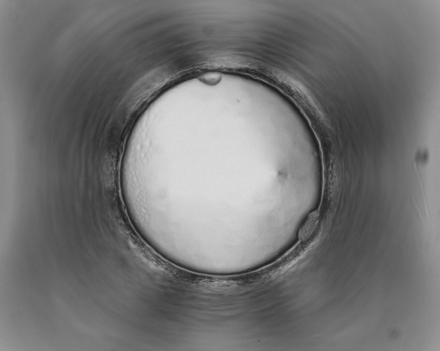 X0000089930833200707271756