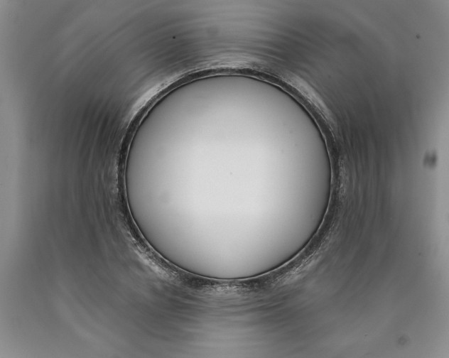 X0000089930834200707271756