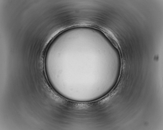 X0000089930835200707271756