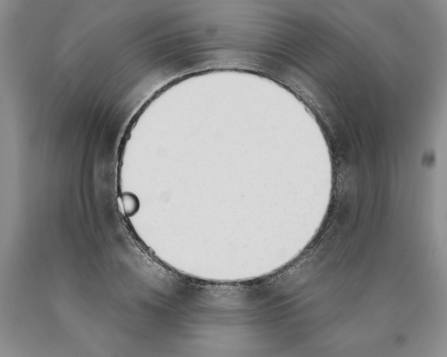 X0000089930836200707271756