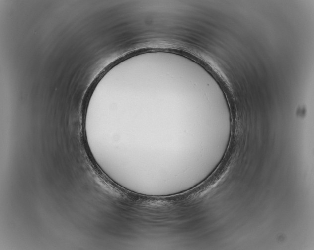 X0000089930837200707271756