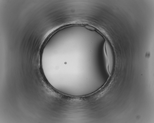 X0000089930838200707271756