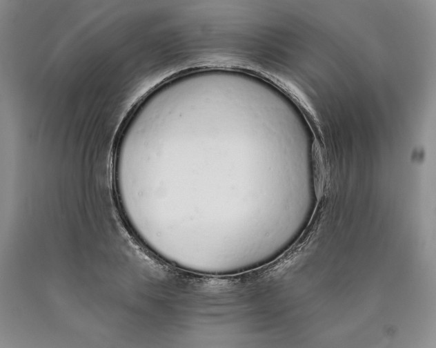 X0000089930839200707271756