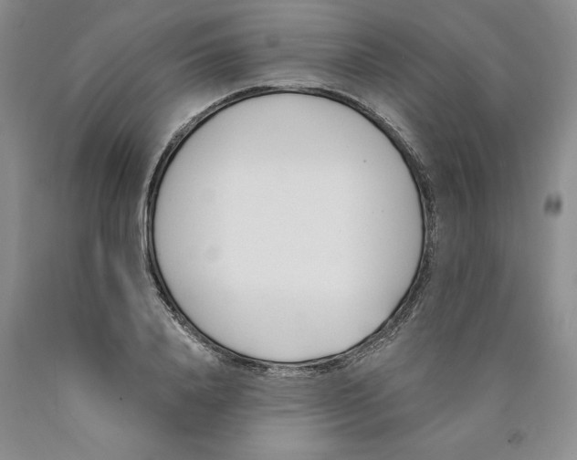 X0000089930840200707271756