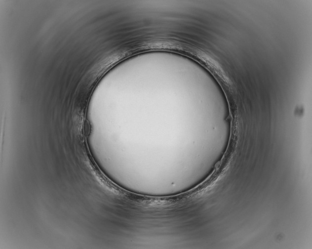 X0000089930841200707271756