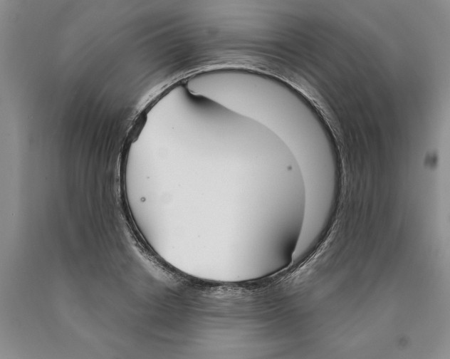 X0000089930842200707271756